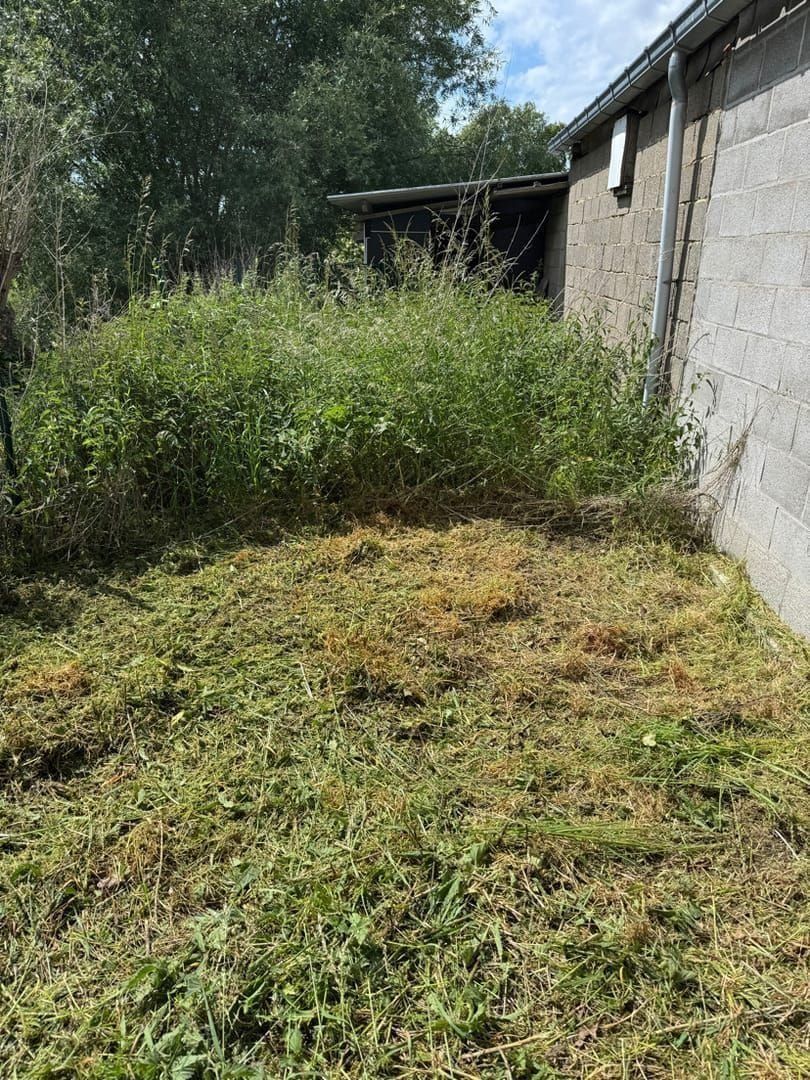 Débroussaillage - Image 1